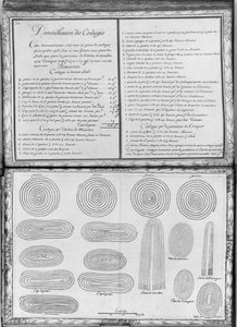 Ropes of a Galley, Plate 34, Illustration from 